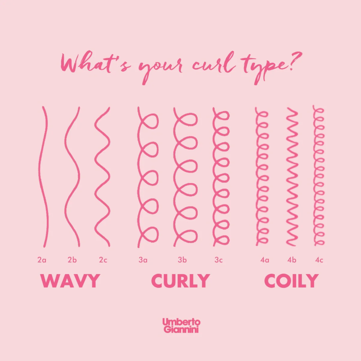 Curl Type 4 Trio - Image 5