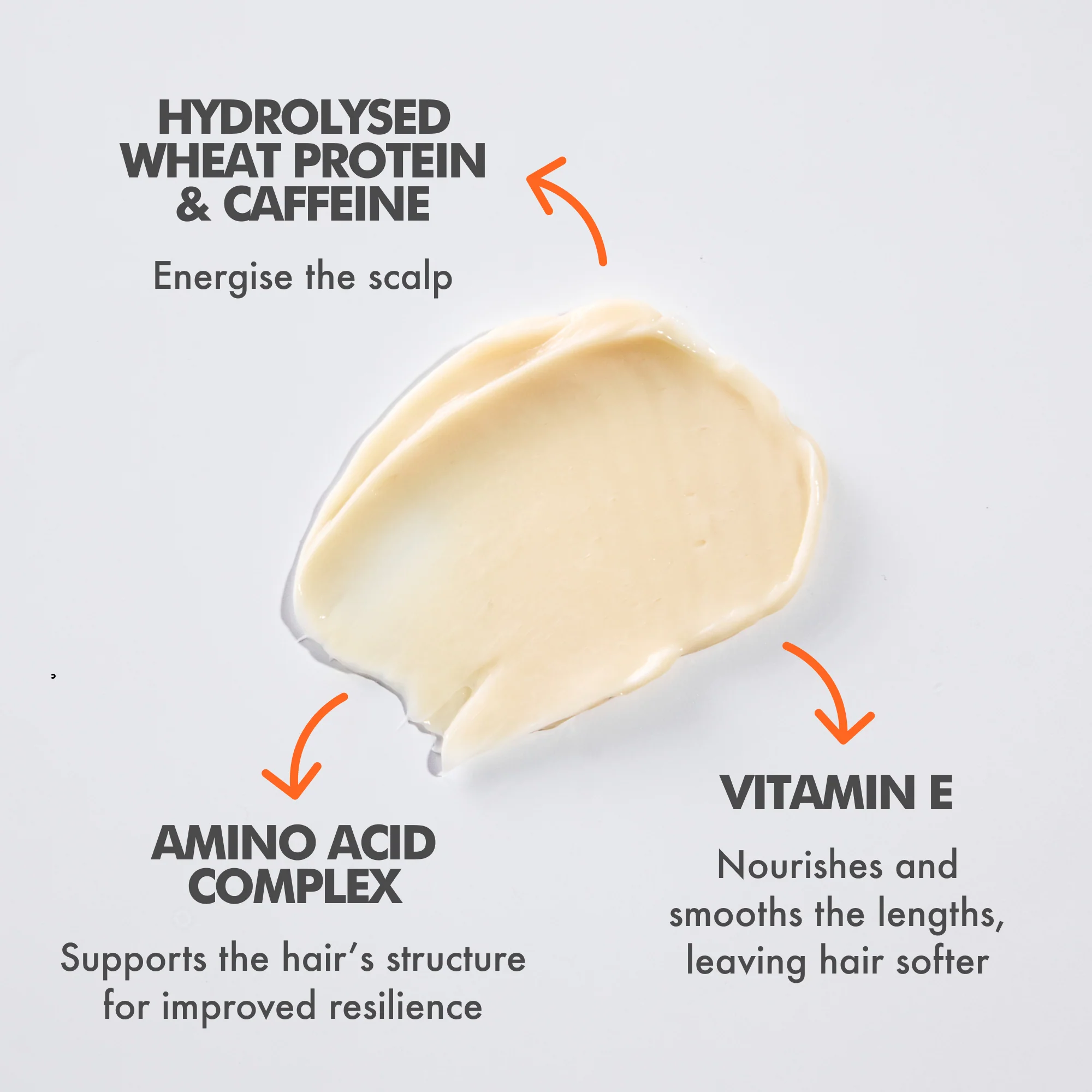 Fuller, Longer, Thicker Wash & Care Duo - Image 5
