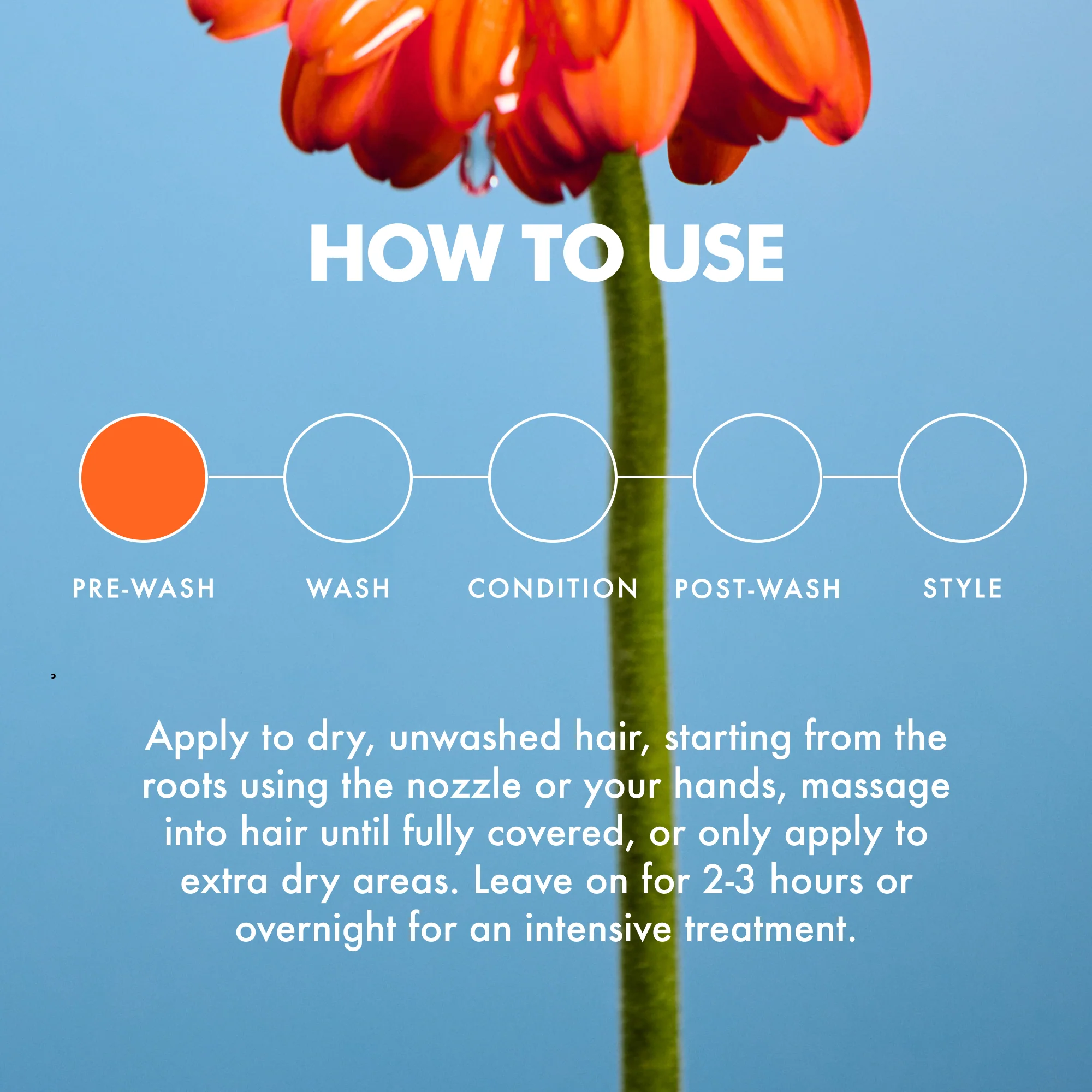 Root To Tip Anti Hair Fall Treatment - Image 7